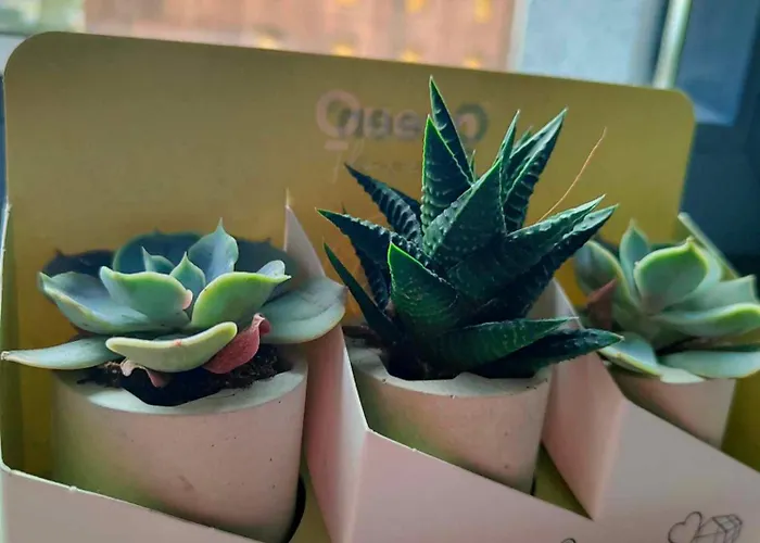 아파트 Retro Fv 코잘린