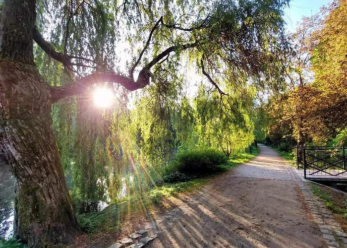 Retro Fv * 코잘린